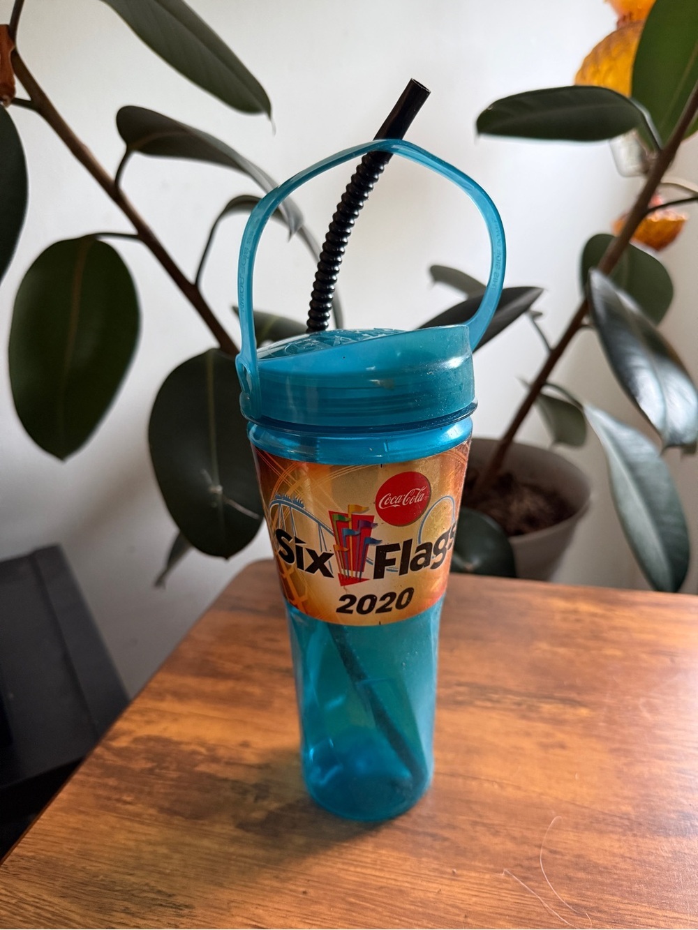 2020 Teal Plastic Souvenir Cup with Straw Six Flags Coca Cola